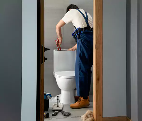 Professional Plumbers for Toilet Bowl Replacement in Massapequa, NY: Schedule Affordable Toilet Replacement Services With Us