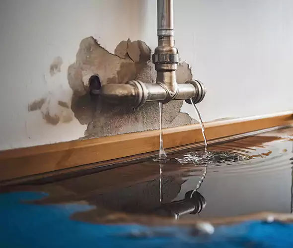 Professional Water Damage Restoration Experts in Massapequa, NY — Fast, Reliable & Certified