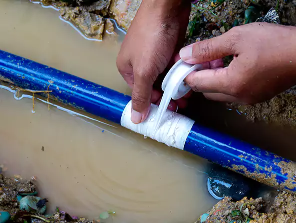  Why Choose Massapequa Plumbing Pro for Leak Detection in Massapequa, NY?]