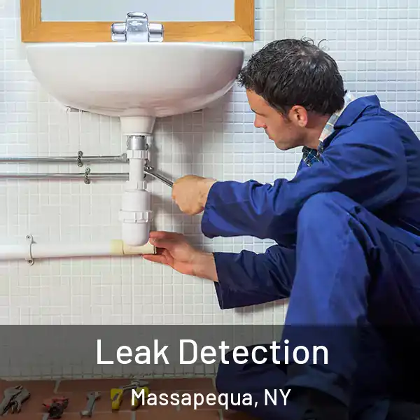  Leak Detection Massapequa, NY