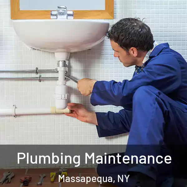  Plumbing Maintenance Massapequa, NY