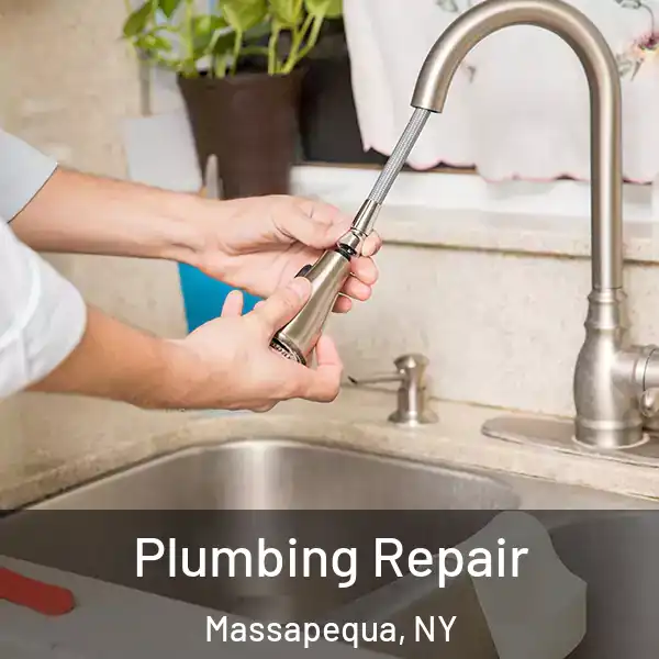  Plumbing Repair Massapequa, NY