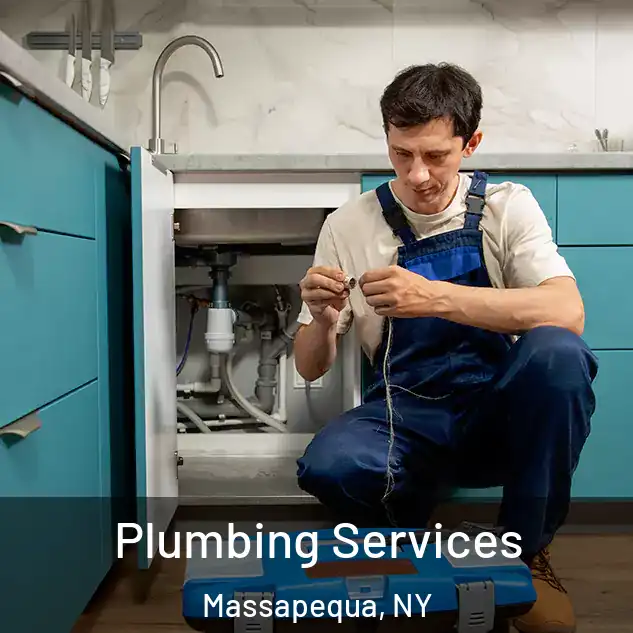  Plumbing Services Massapequa, NY