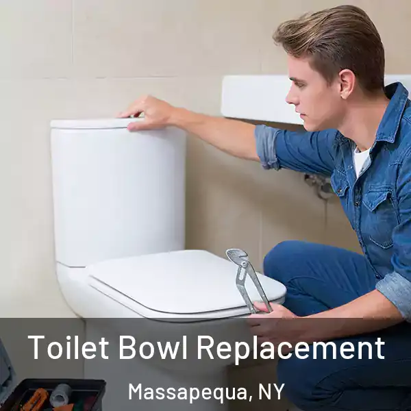  Toilet Bowl Replacement Massapequa, NY
