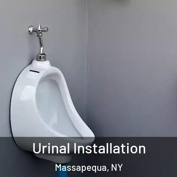  Urinal Installation Massapequa, NY