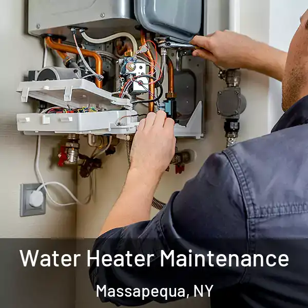  Water Heater Maintenance Massapequa, NY